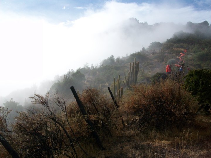 Merrell 15-05-10