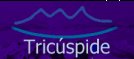 Tricuspide